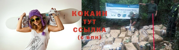 дурь Володарск