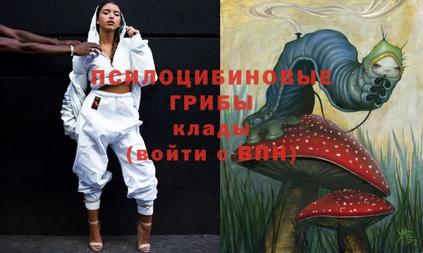 СК Слюдянка
