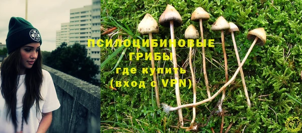стаф Волоколамск