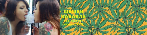 стаф Волоколамск