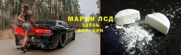 стаф Волоколамск